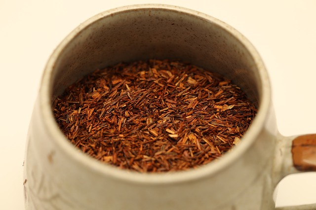 Rooibos nebo honeybush?
